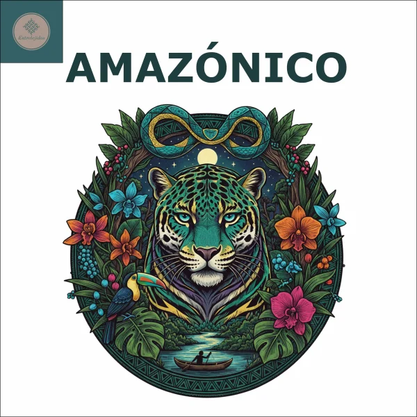 Camisetas Personalizables Adultos