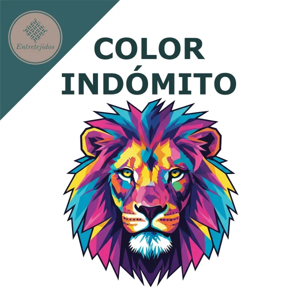 Camisetas Personalizables Adultos