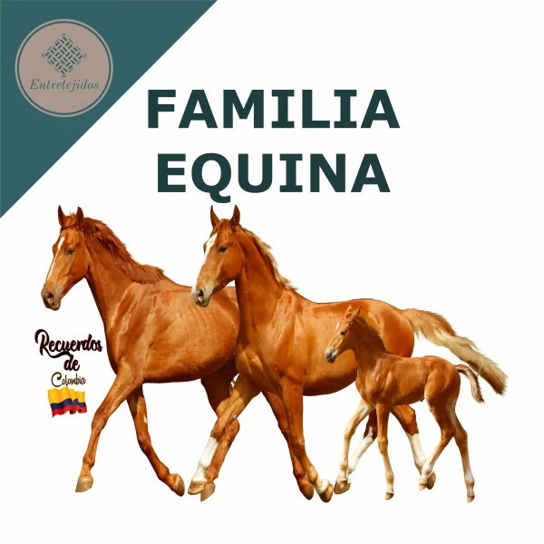 Poncho Personalizable Adulto