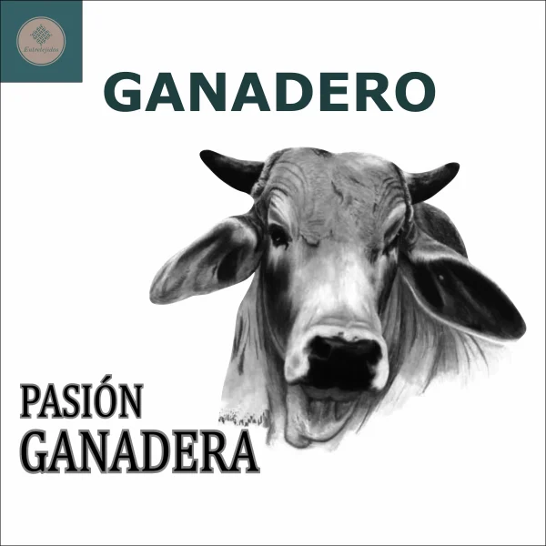 Poncho Personalizable Adulto