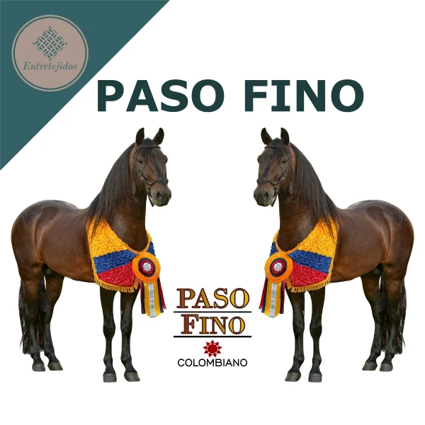 Poncho Paso Fino